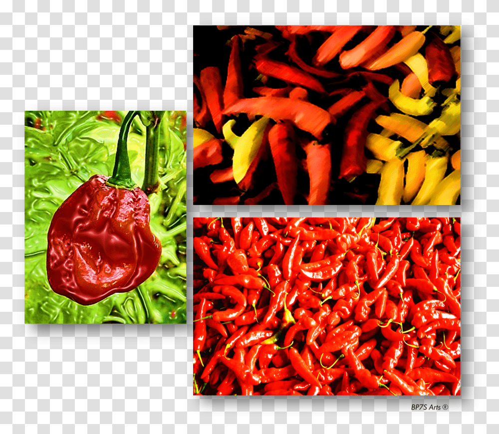 Chile Picante Chile Picante, Plant, Pepper, Vegetable, Food Transparent Png
