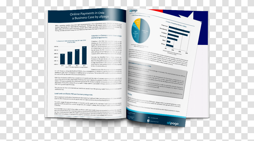 Chile Research Report Brochure, Flyer, Poster, Paper, Advertisement Transparent Png