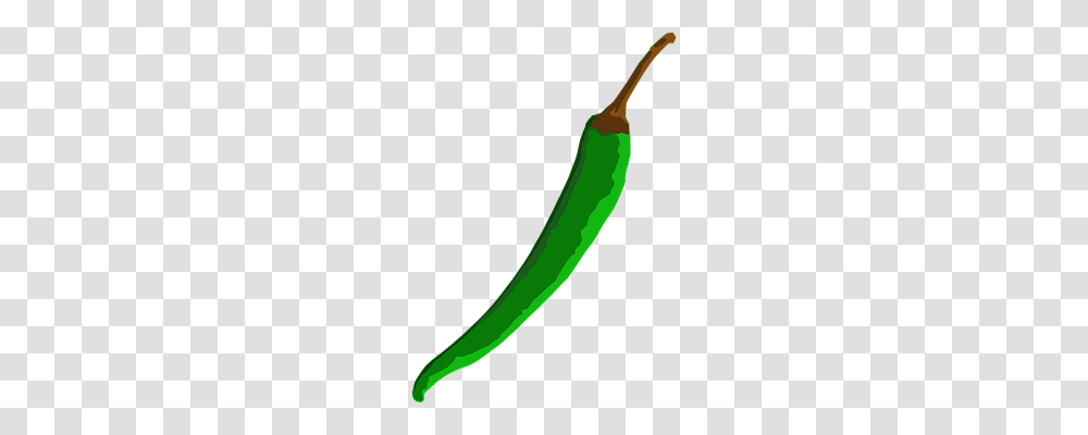 Chili Food, Plant, Cucumber, Vegetable Transparent Png