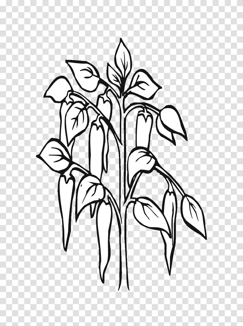 Chili Clipart Black And White, Plant, Flower, Bird, Animal Transparent Png