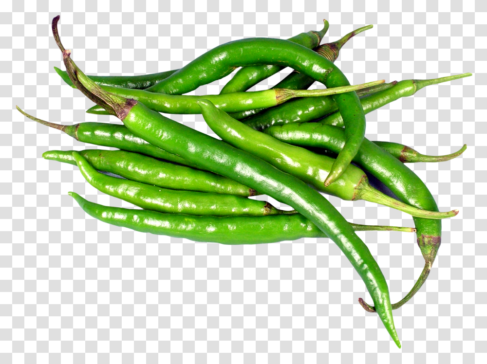 Chili Clipart Green Chilli, Plant, Vegetable, Food, Bean Transparent Png