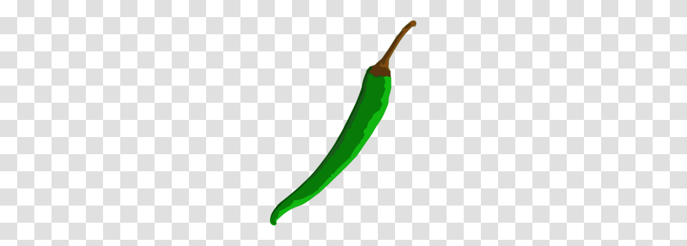 Chili Cliparts, Plant, Cucumber, Vegetable, Food Transparent Png