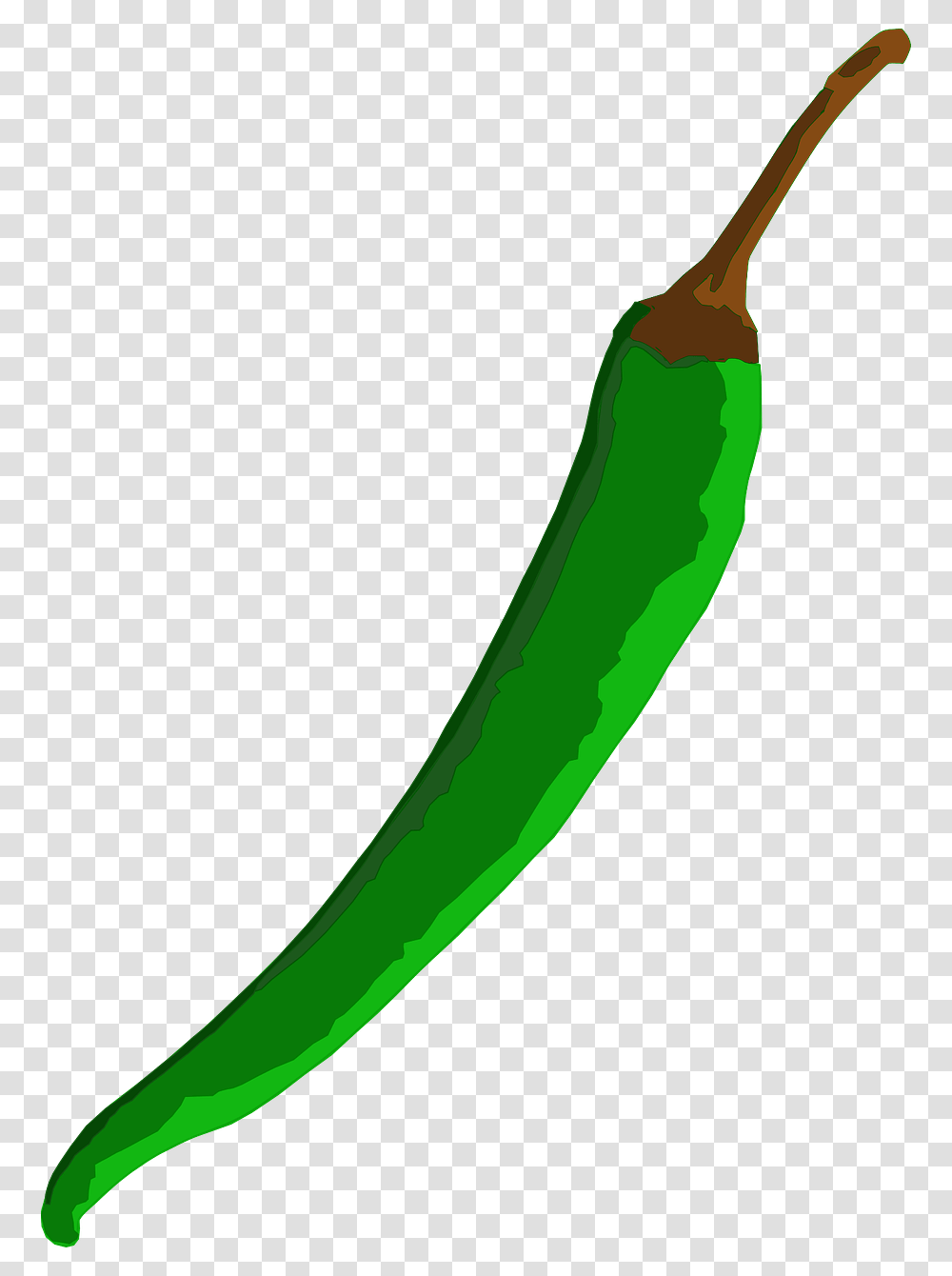 Chili Green Pepper Clipart Green Chilli, Plant, Cucumber, Vegetable, Food Transparent Png