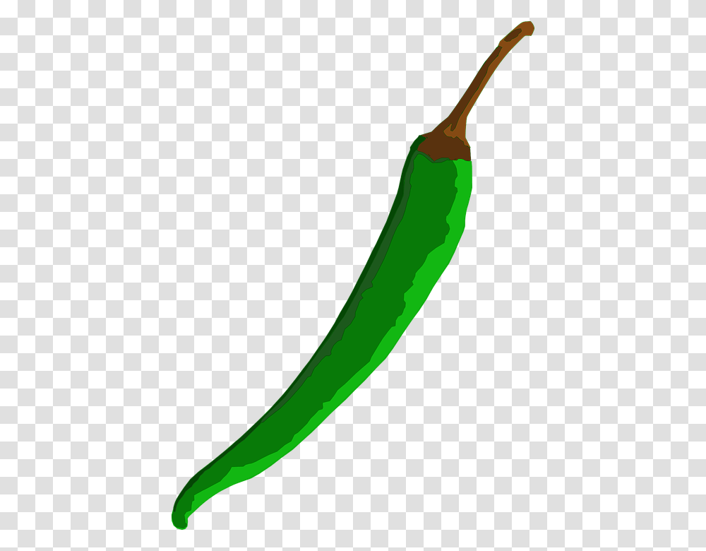 Chili Green Pepper Spicy Hot Cooking Spice Of Green Chilli, Cucumber, Vegetable, Plant, Food Transparent Png
