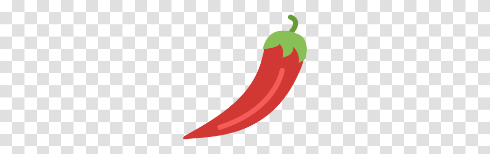 Chili Icon Myiconfinder, Plant, Vegetable, Food, Pepper Transparent Png