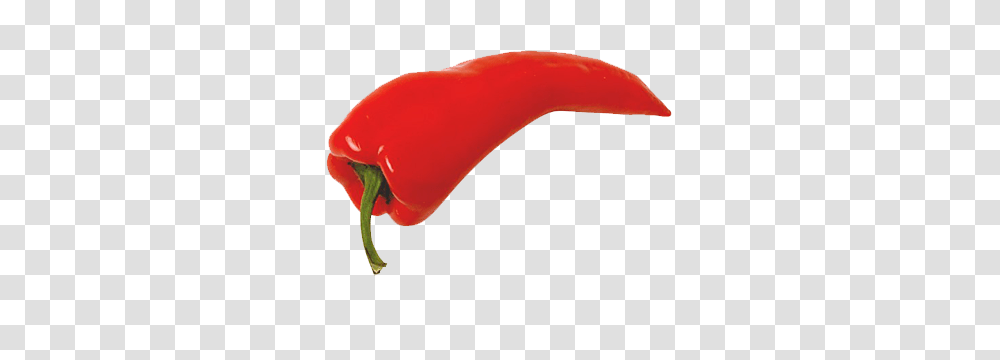 Chili Pepper Border Clipart Free Clipart, Plant, Vegetable, Food, Bell Pepper Transparent Png