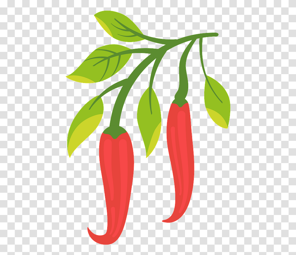 Chili Pepper Clipart Chile Pepper Clipart, Plant, Vegetable, Food, Carrot Transparent Png