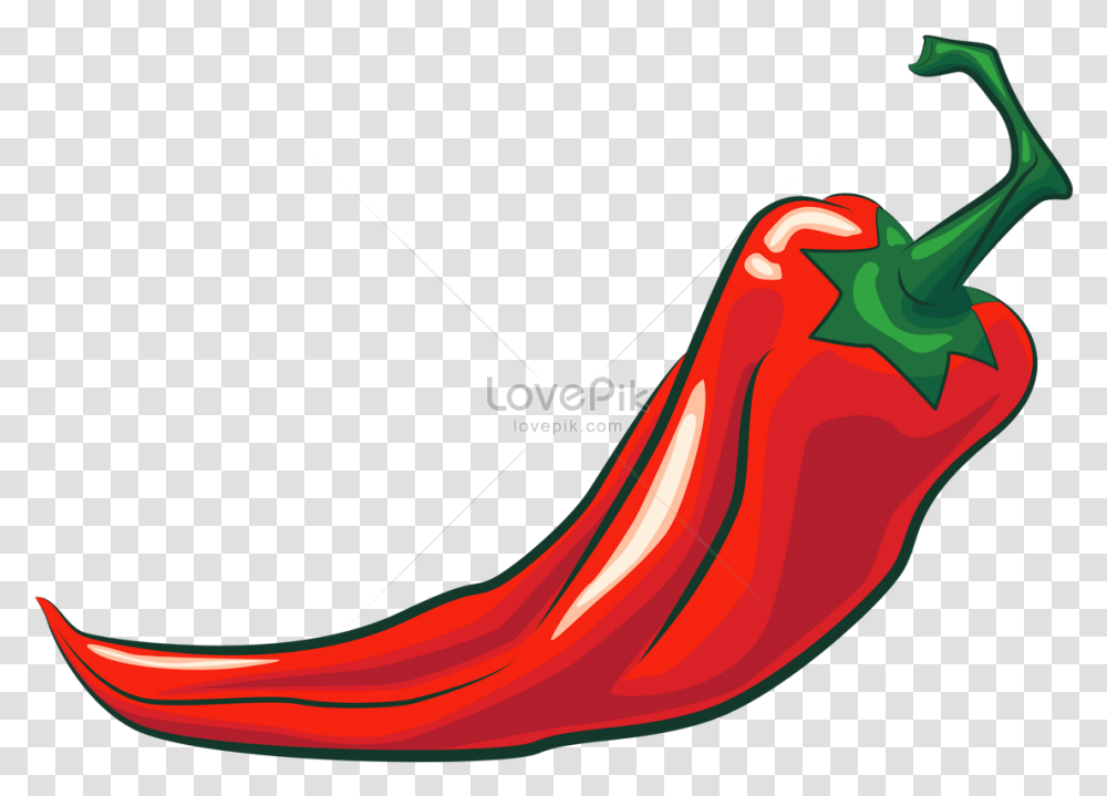 Chili Pepper Clipart Spicy Clipart, Plant, Vegetable, Food, Bell Pepper Transparent Png