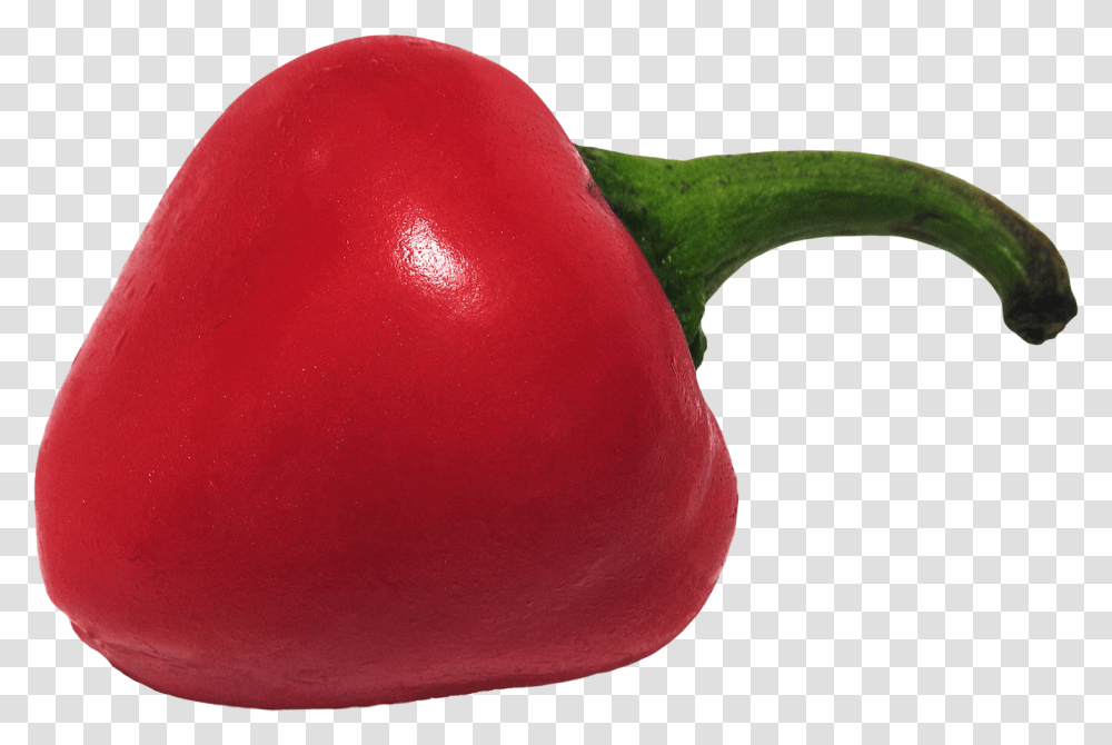 Chili Pepper Image Habanero Chili, Plant, Vegetable, Food, Bell Pepper Transparent Png