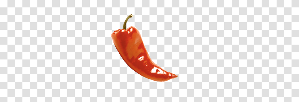 Chili Pepper Image, Plant, Ketchup, Food, Vegetable Transparent Png