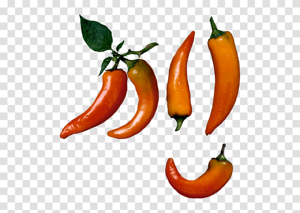 Chili Pepper Image, Plant, Vegetable, Food, Bell Pepper Transparent Png