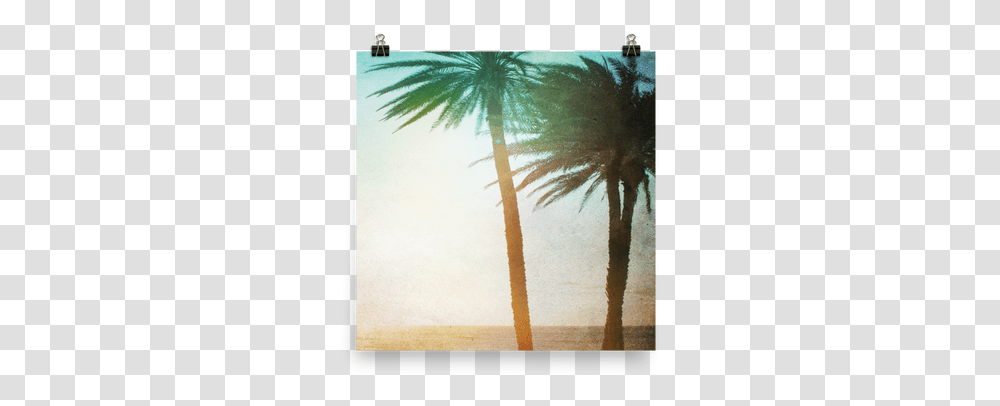 Chill Cases By Kate Borassus Flabellifer, Tree, Plant, Palm Tree, Arecaceae Transparent Png
