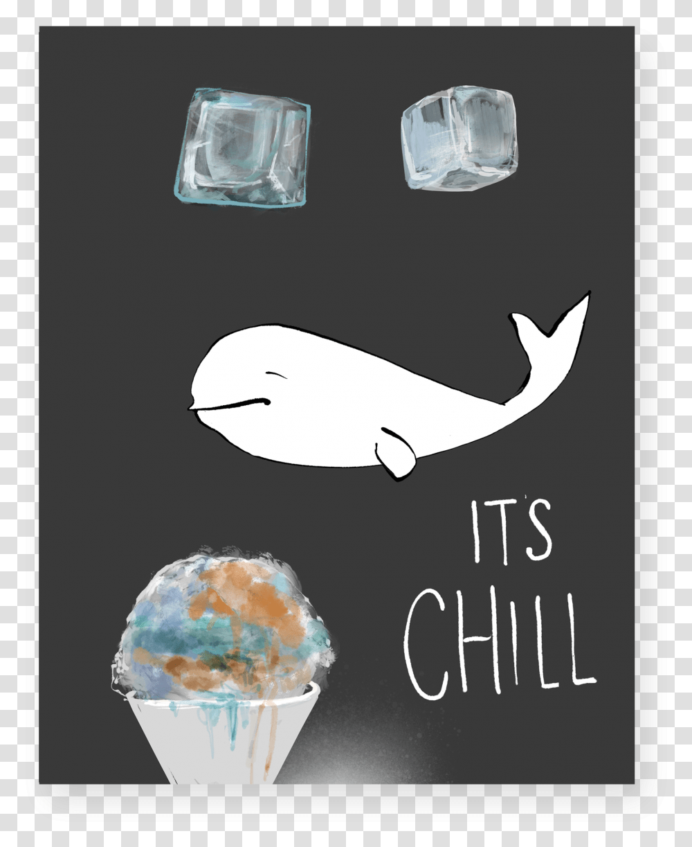 Chill Killer Whale, Sea Life, Animal, Mammal, Shark Transparent Png