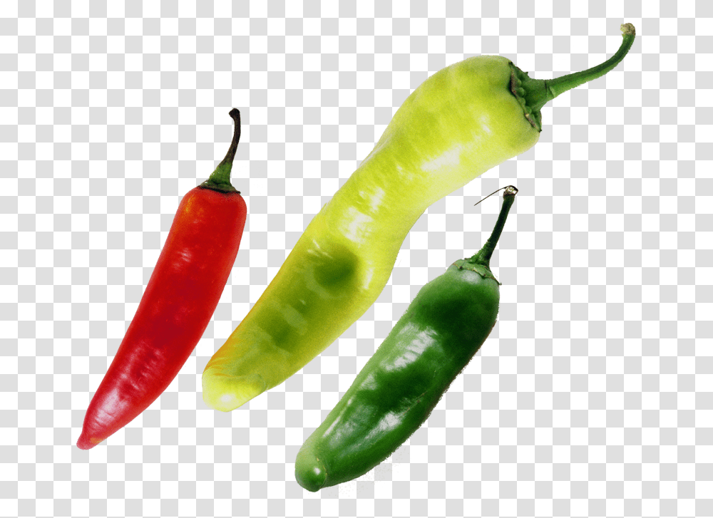 Chilli Chilli Pepper Red Green Yellow, Plant, Vegetable, Food, Bell Pepper Transparent Png
