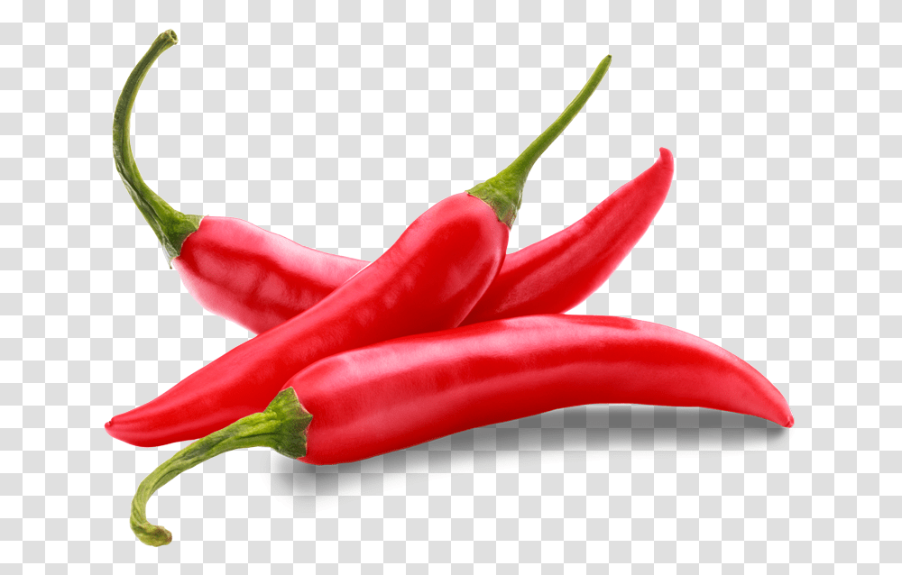 Chilli Image With White Background, Plant, Pepper, Vegetable, Food Transparent Png