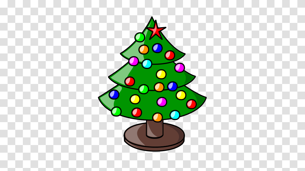 Chillincompetition Relaxing Whilst Doing Competition Law Is Not, Tree, Plant, Christmas Tree, Ornament Transparent Png