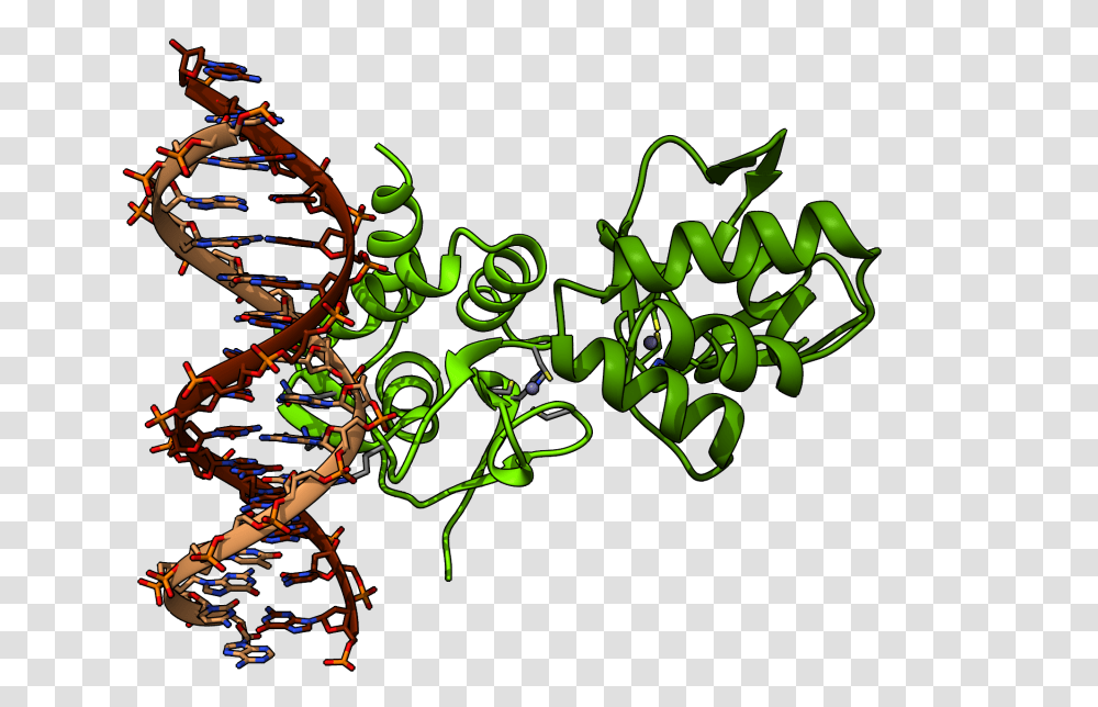Chimera Render Of Protein From Pdb, Doodle Transparent Png
