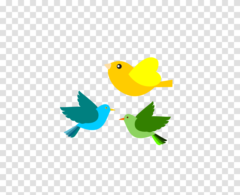 Chimney Swift, Bird, Animal, Canary, Finch Transparent Png