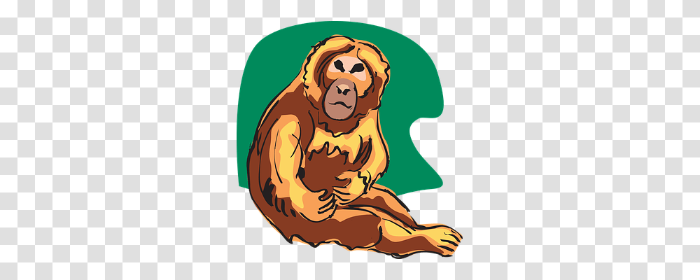 Chimp Wildlife, Animal, Mammal, Ape Transparent Png