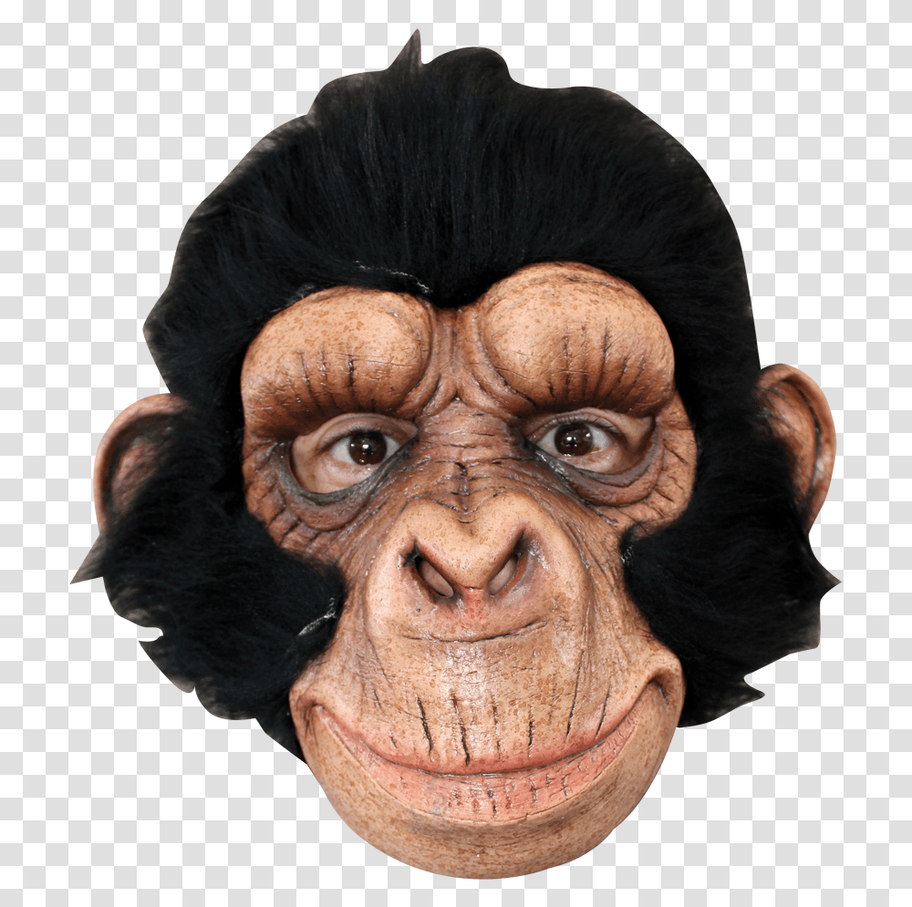 Chimp George Monkey Mask, Ape, Wildlife, Mammal, Animal Transparent Png