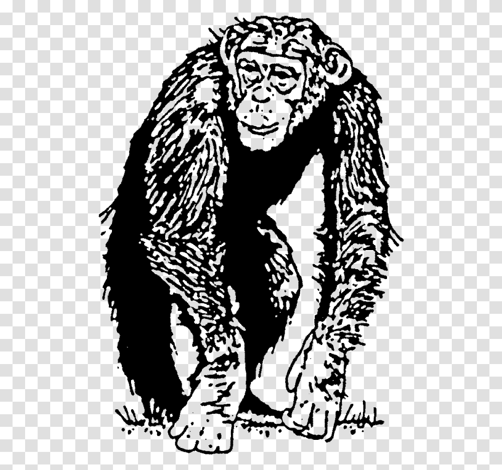 Chimp Rubber StampTitle Chimp Rubber Stamp Endowment Effects In Chimpanzees, Gray, World Of Warcraft, Halo Transparent Png