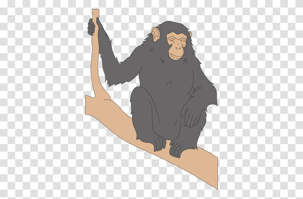 Chimp Sitting On A Branch Clip Art, Ape, Wildlife, Mammal, Animal Transparent Png