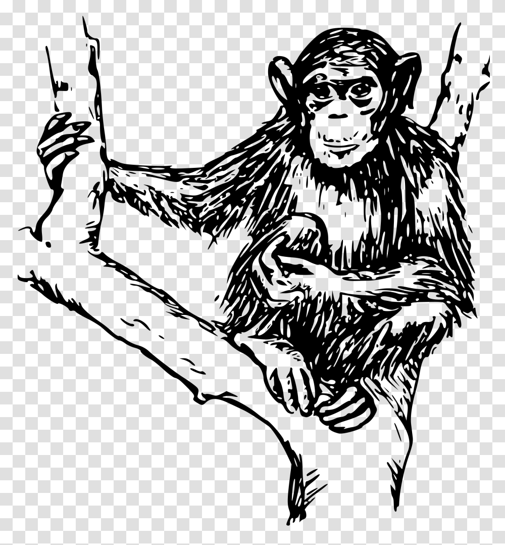 Chimpanzee Ape Gorilla Orangutan Clip Art, Gray, World Of Warcraft Transparent Png