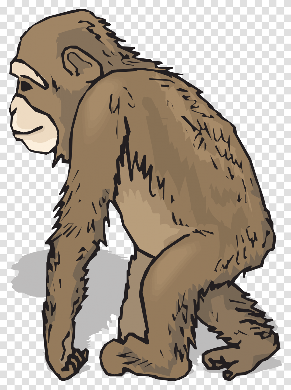 Chimpanzee Clipart Realistic Realistic Clip Art Monkey, Wildlife, Animal, Mammal, Baboon Transparent Png