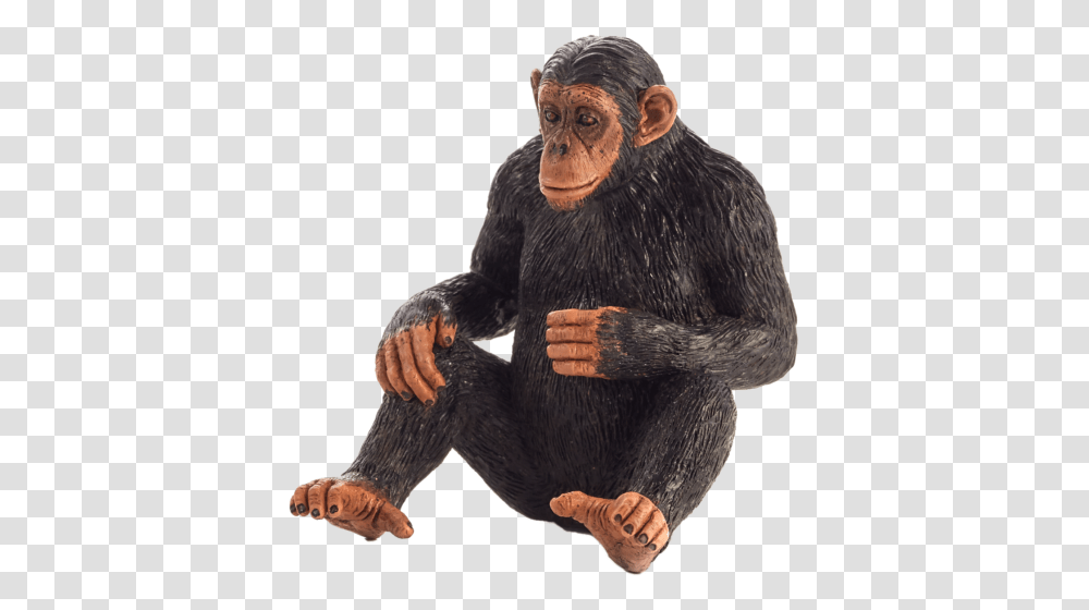 Chimpanzee Mojo Monkey Animal Planet Toy, Ape, Wildlife, Mammal Transparent Png