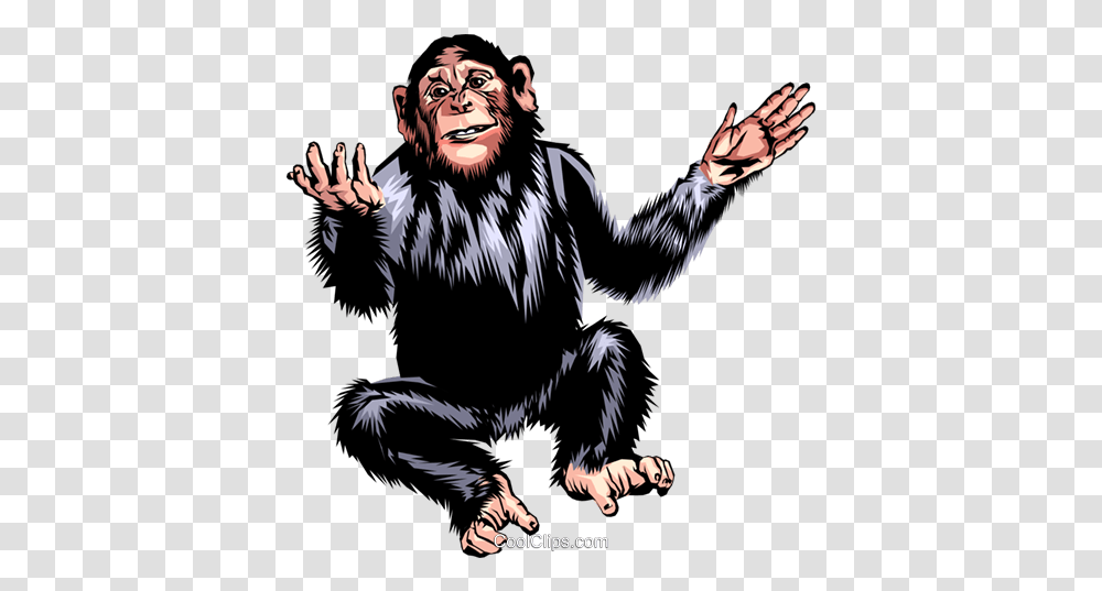 Chimpanzee Royalty Free Vector Clip Art Illustration Animal, Ape, Wildlife, Mammal, Person Transparent Png
