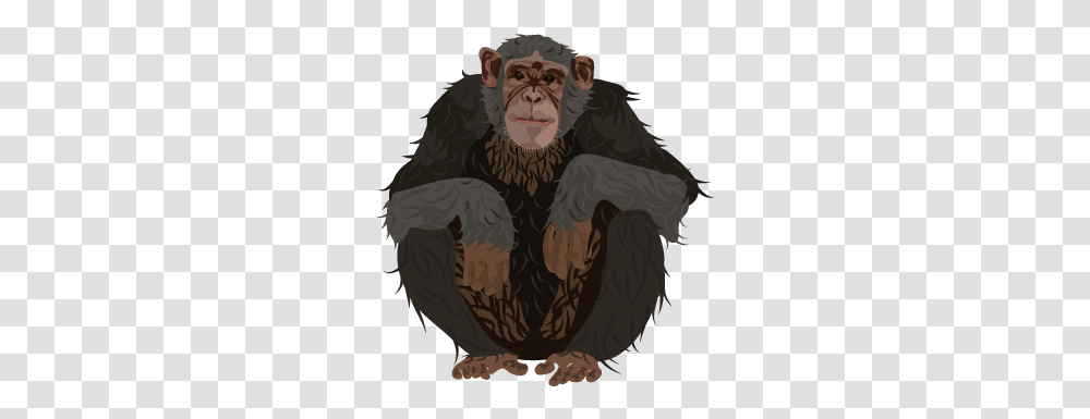 Chimpanzee Ugly, Animal, Ape, Wildlife, Mammal Transparent Png