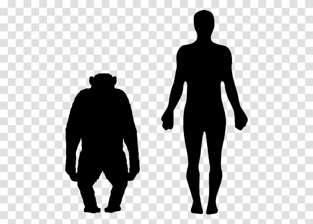 Chimpanzee Vs Human Size, Gray, World Of Warcraft Transparent Png