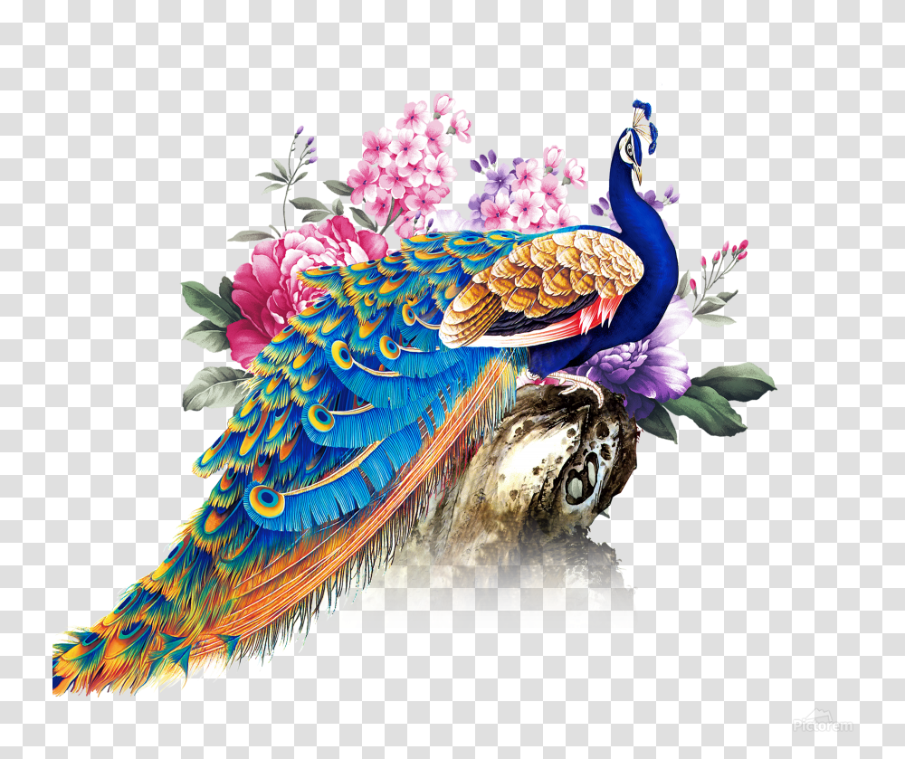China Wind Peacock Print Peacock, Bird, Animal, Pattern Transparent Png