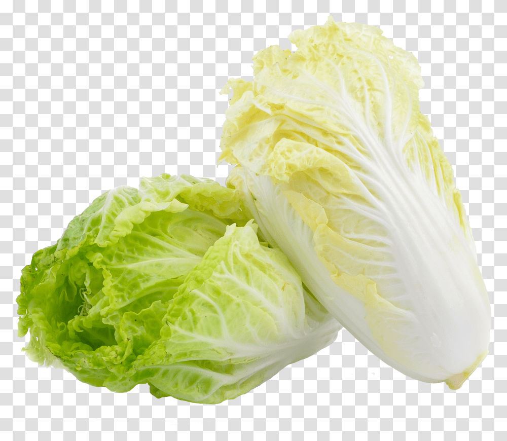 Chinese Cabbage Download Chinese Cabbage Transparent Png