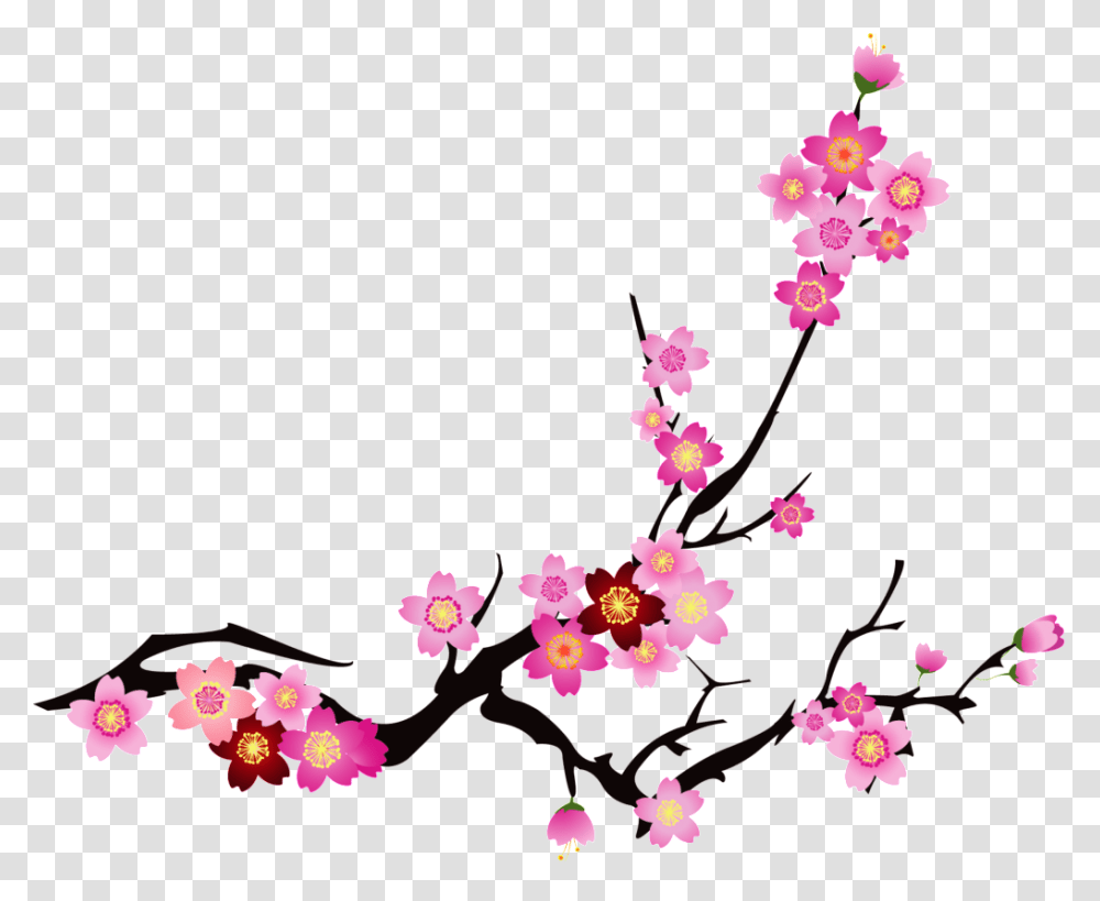 Chinese Cherry Blossom Vector, Plant, Flower Transparent Png