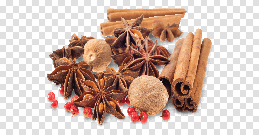 Chinese Cinnamon, Plant, Anise, Spice, Fungus Transparent Png