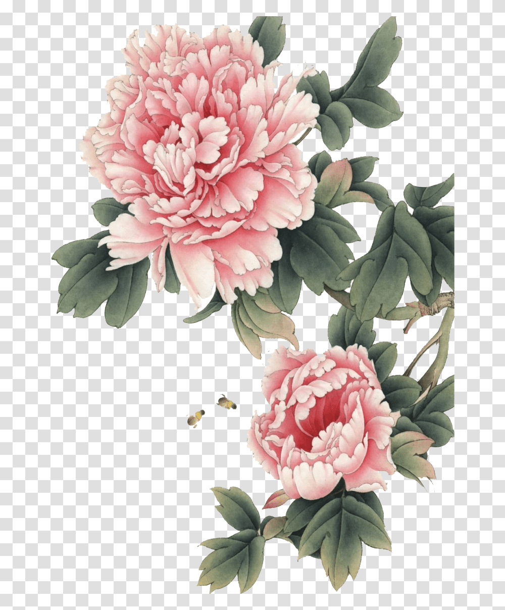 Chinese Flower Background Mart Chinese Peony, Plant, Carnation, Blossom Transparent Png