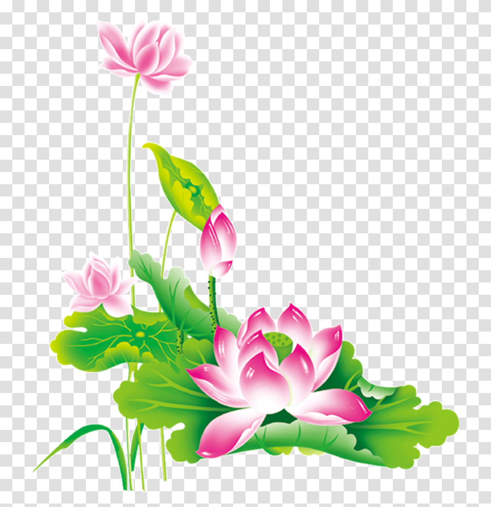 Chinese Flower Lotus Clip Chinese, Plant, Floral Design, Pattern, Graphics Transparent Png