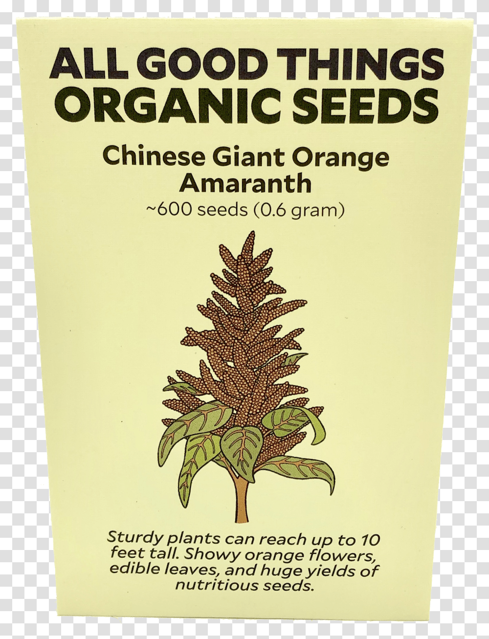 Chinese Giant Orange Amaranth Lodgepole Pine, Tree, Plant, Conifer, Ornament Transparent Png