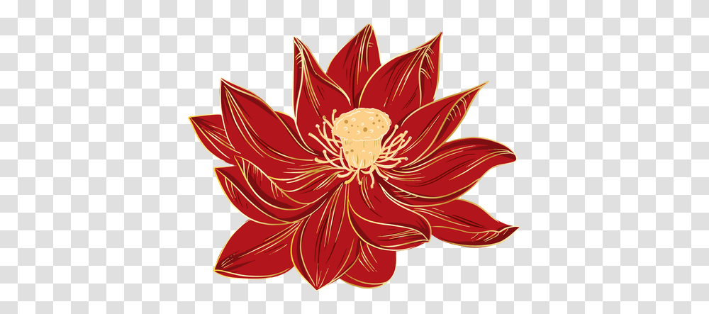 Chinese Hibiscus Flowers Nymphaea Nelumbo, Plant, Dahlia, Blossom, Leaf Transparent Png