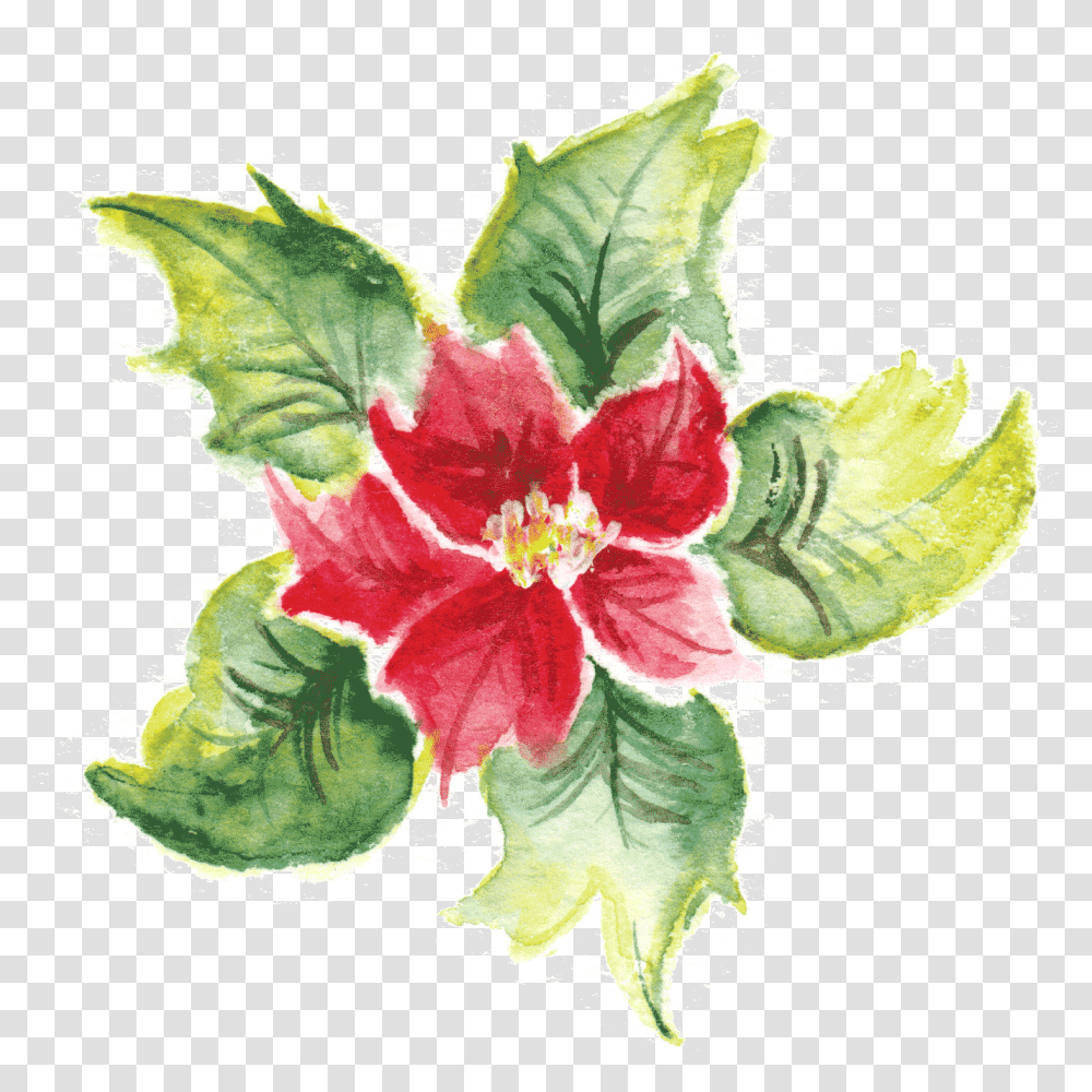 Chinese Hibiscus, Floral Design, Pattern Transparent Png