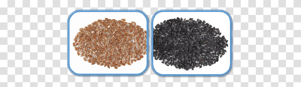 Chinese Medicine Regulatory Office Frijoles Negros, Plant, Produce, Food, Vegetable Transparent Png