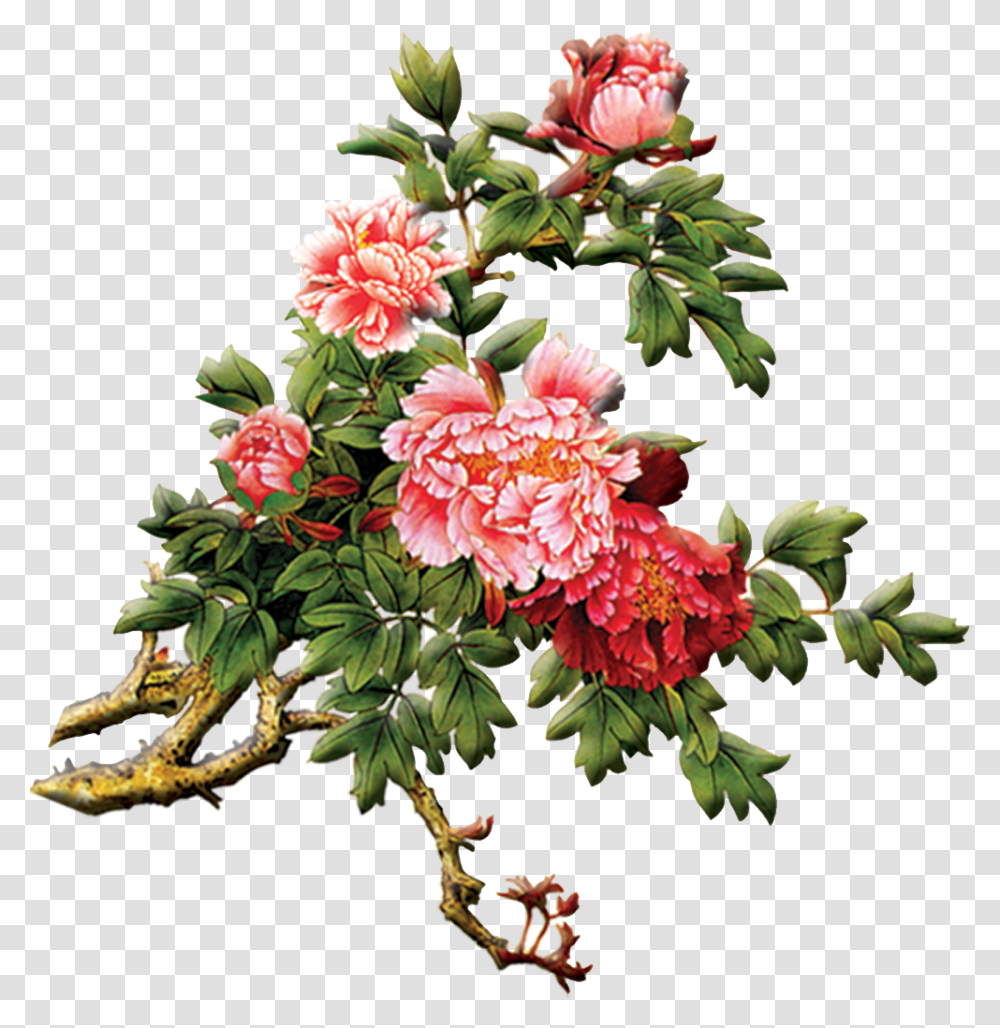 Chinese Painting Peony, Plant, Flower, Blossom, Carnation Transparent Png