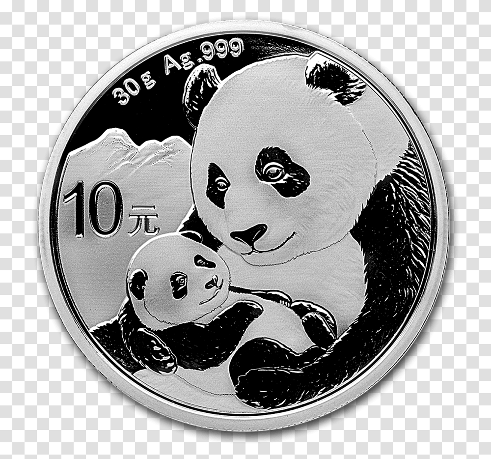 Chinese Panda Silver Coin Obverse Chinese Panda Silver Coin, Giant Panda, Bear, Wildlife, Mammal Transparent Png