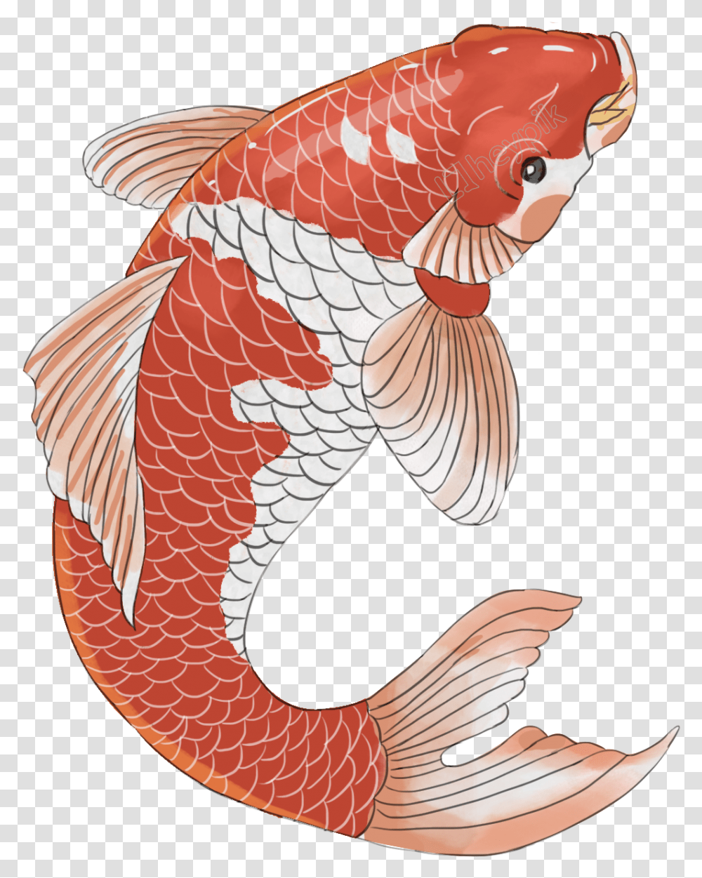 Chinese Style Koi Design Image Chinese Koi Fish, Animal, Bird, Carp, Goldfish Transparent Png