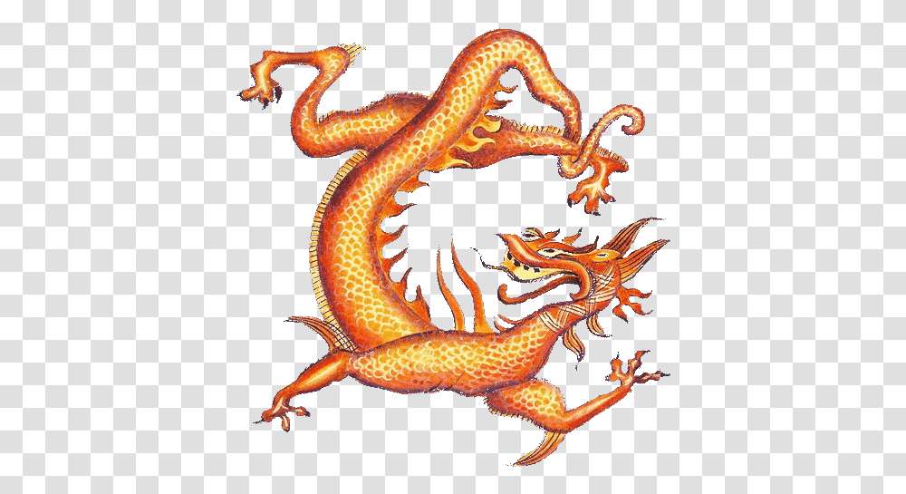Chinese Zodiac Chinese Zodiac Dragon Gif, Snake, Reptile, Animal, Lizard Transparent Png