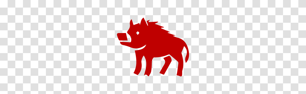 Chinese Zodiac Pig Symbol Year Of Pig Chinese, Mammal, Animal, Wildlife Transparent Png