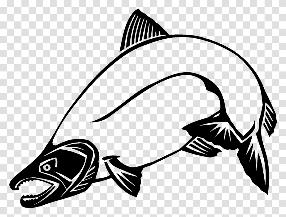 Chinook Salmon Clip Art Coho Salmon Clip Art, Fish, Animal, Water, Baseball Cap Transparent Png