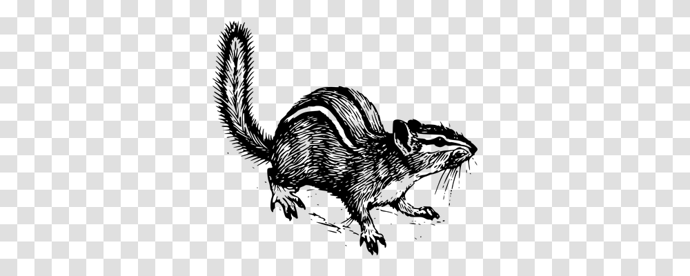 Chipmunk Animals, Gray, World Of Warcraft Transparent Png