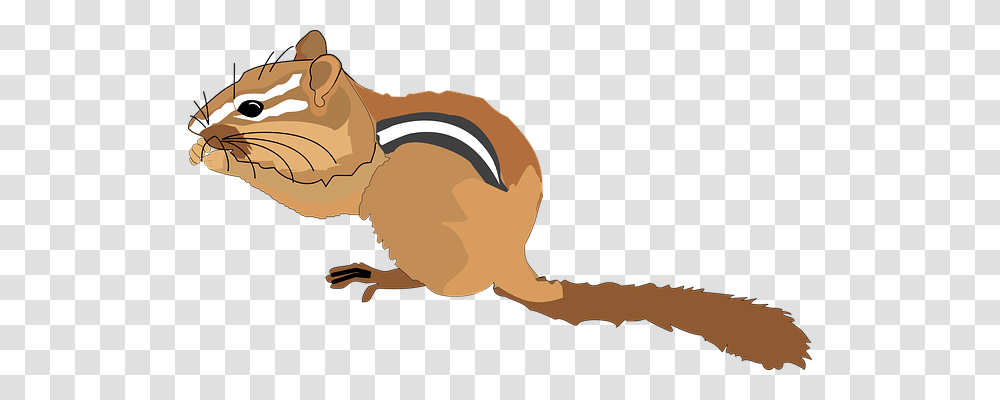 Chipmunk Nature, Animal, Mammal, Rodent Transparent Png